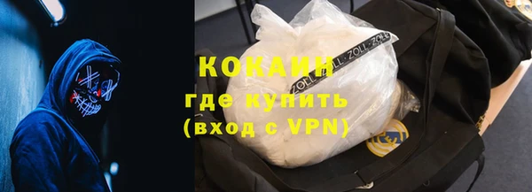 твердый Алексин