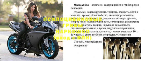 COCAINE Алзамай