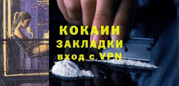 твердый Алексин