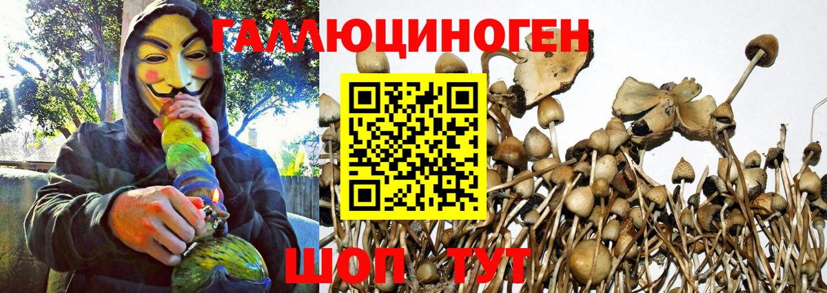Амфетамин Тында